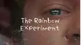 The Rainbow Experiment
