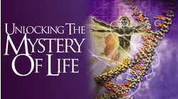 Unlocking The Mystery of Life