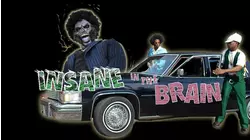 Insane in the Brain