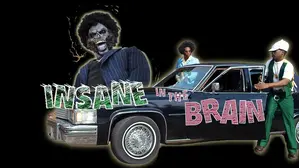 Insane in the Brain