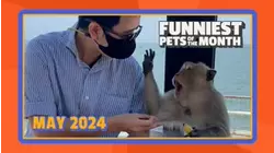 Ep. 1.6