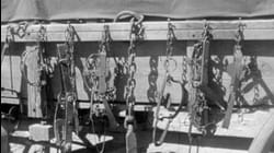 Adventures of Champion: Ep 14 - The Deer Hunters (1955)