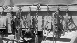 Adventures of Champion: Ep 14 - The Deer Hunters (1955)