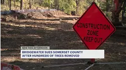 Bridgewater demands halt to park project after 300-500 trees removed