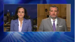 Sen. Cruz: US will not 'engage in military action against Greenland'