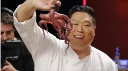 Octopus