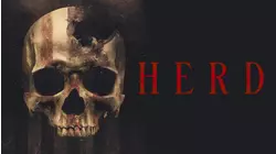 HERD