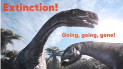 Extinction! Going, going, gone!