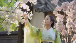 12 Princess of Lanling King