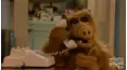 ALF