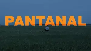 Pantanal