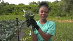 Urban farming initiatives help feed communities