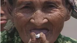 Sulawesi