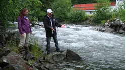 Salmon