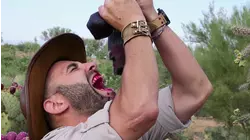 Brain Freeze Challenge