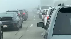 Series of crashes on Vasco Rd. in Livermore due to fog