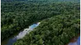It’s a Beautiful World