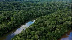 Return to the Amazon