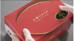Why Miyazaki Mangoes Are So Expensive