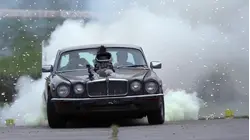 Roadkill Nights
