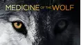 Medicine of the Wolf