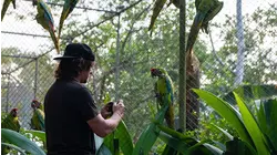 Costa Rica with Dom Rocket