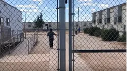 Madonna, Pedro Pascal y otras celebridades exigen el cierre del centro de Dilley, donde hay niños