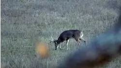 No Limits Hunting S7:E6 "Whitetail of a lifetime"