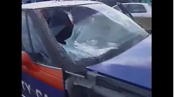 World's Wildest Police Videos