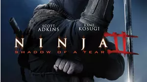 Ninja: Shadow of a Tear