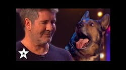 DOG Magician Makes Simon Cowell CRY On Britain's Got Talent 2019! | Got Talent Global