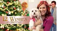 12 Wishes of Christmas