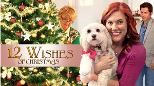 12 Wishes of Christmas