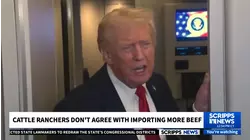 President Trump has a controversial plan to import more beef