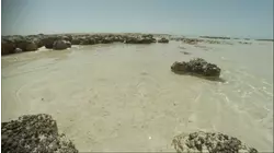 First Life On Earth