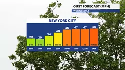 WIND ALERT: Partly sunny and mild before high winds arrive tonight in The Bronx