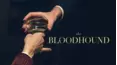 The Bloodhound