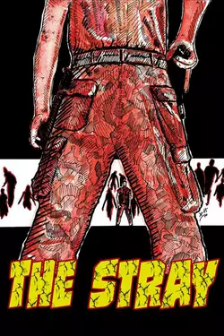 The Stray