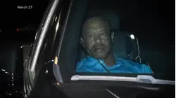 Tiger Woods speaks out after failed sobriety test