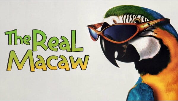 The Real Macaw on FREECABLE TV