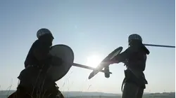 Vikings, Inca, Chacoans