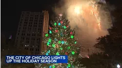 Christmas tree lights up Millennium Park as holiday fun begins