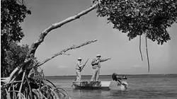 Fly Fishing Explodes in Saltwaters