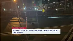 Man dead after hit-and-run in Unionport