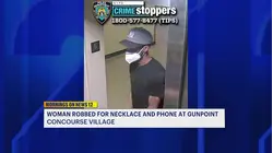 Man wanted for gunpoint robbery in Concourse Village