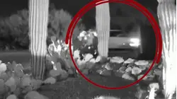 Aparecen nuevas imágenes de cámaras de vigilancia que pueden arrojar luz en caso de Nancy Guthrie