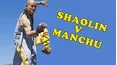 Shaolin vs Manchu