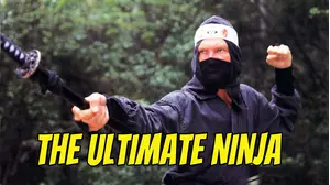 The Ultimate Ninja
