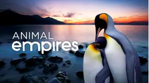 Animal Empires