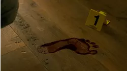 In Search of SK1 - Akira Ojima Case